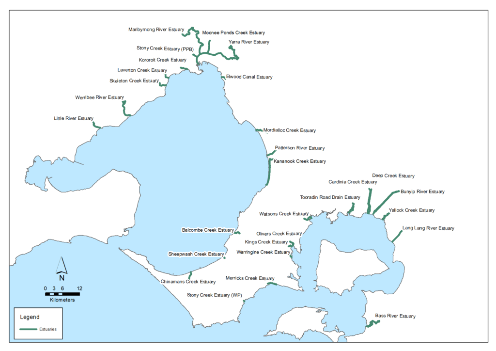 There are 29 estuaries in the Port Phillip and Western Port region