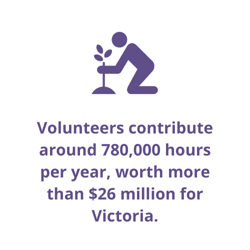 Volunteers contribute around 780,000 hours per year, worth more than $26 million for Victoria.