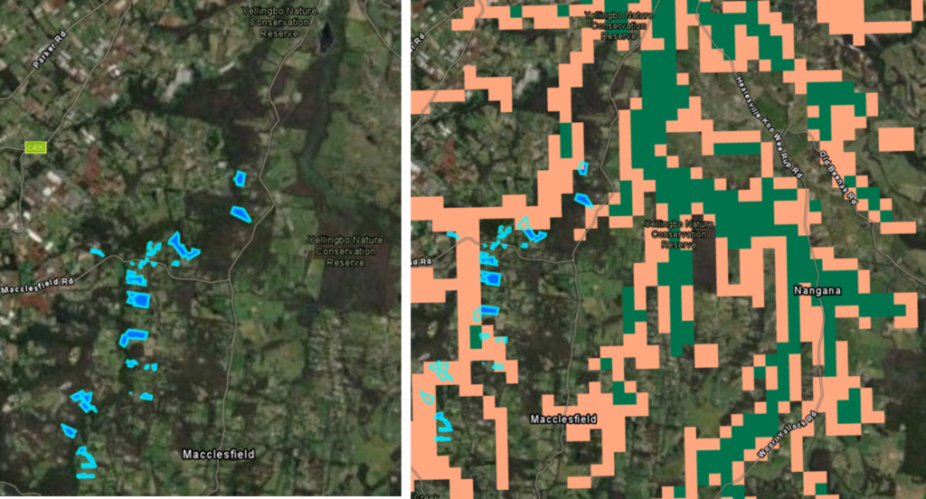 Woori Yallock Creek Vegetation Improvement Port Phillip & Western Port Regional Catchment Strategy