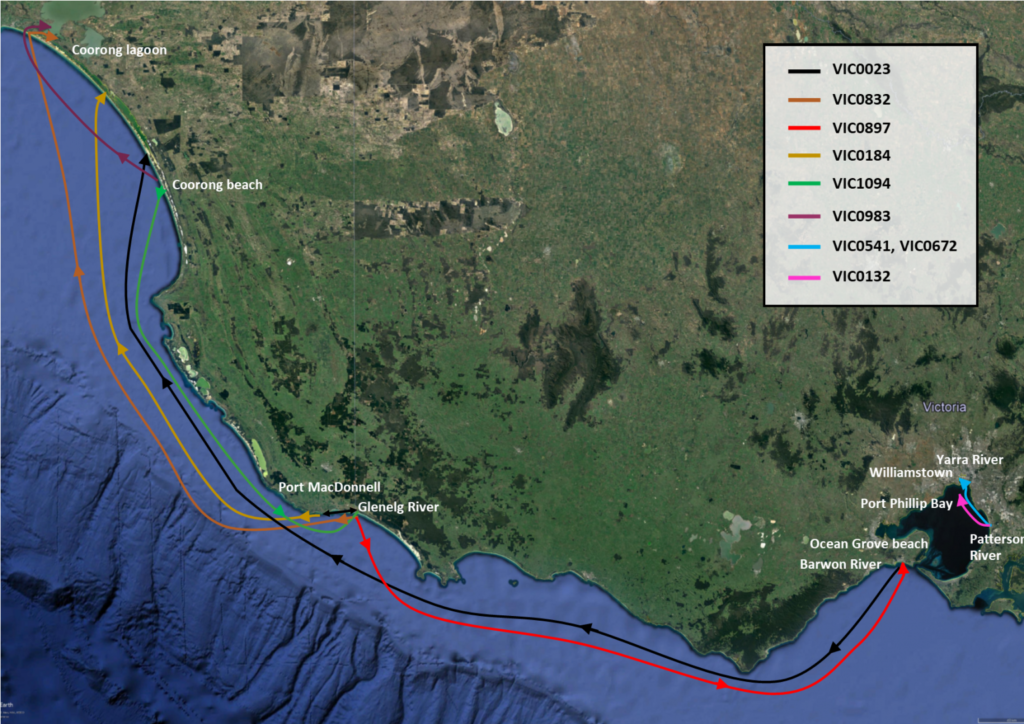 Wyndham Area, VIC, Fishing